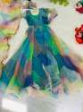 Fancy Tabby Silk Organza Gown thumb 3