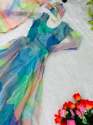 Fancy Tabby Silk Organza Gown thumb 6