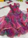 Fancy Tabby Silk Organza Gown thumb 7