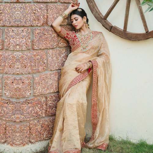 Heavy Embroidered Saree with Sequins work 