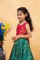 Kids Lehenga Choli collection thumb 1