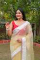 organza-embrodery-work-saree
