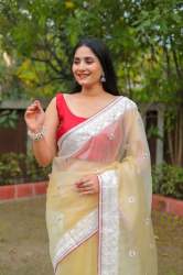 ORGANZA EMBRODERY WORK SAREE
