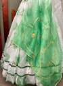 Organza With Print  Lehenga Choli  thumb 10