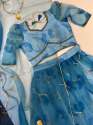 Organza With Print  Lehenga Choli  thumb 8