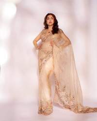 Party Wear Soft Naylon Organza Saree 