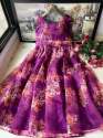 Pretty Heavy Organza Printed Gown  thumb 1