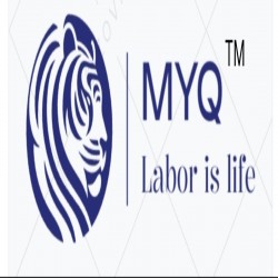 yr collection logo icon