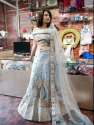 fancy-grey-lehenga-choli-for-women