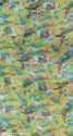 Chiffon Printed Fabric 