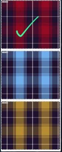Check Cotton Fabric For Men by Niyaz Enterprises