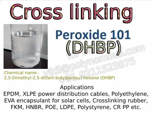 Peroxide-101 (DHBP) by POLYNOMOUS INDUSTRIES PVT LTD