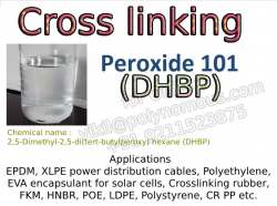 Peroxide-101 (DHBP)
