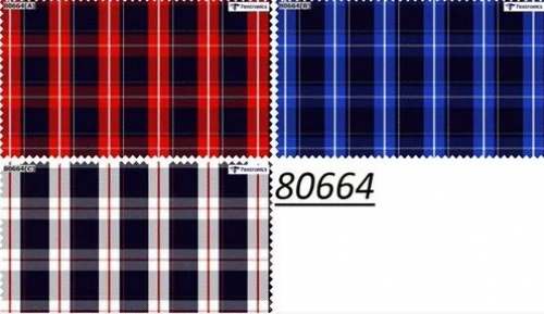 Checks Cotton Shirting Fabric  by Ishvan Impex Private Limited