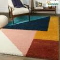 Shaggy 	Multicolor Rectangular Printed Carpet thumb 1