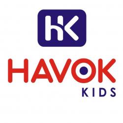 Havok Clothings logo icon