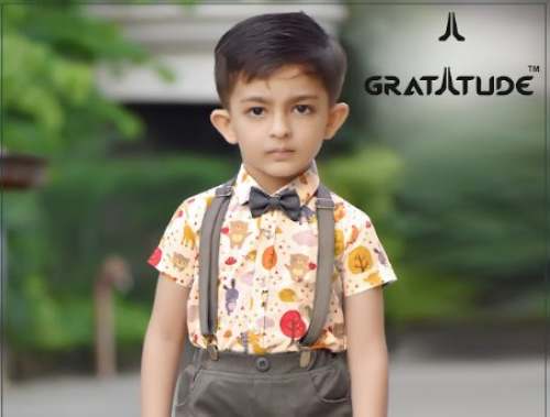 Fancy Kids Boys Party Wear At Wholesale Rate by Gratitude