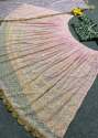 Trendy Sequence Georgette Embroidere Lehenga  thumb 2