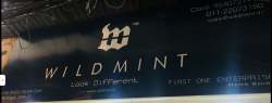 Wild Mint logo icon