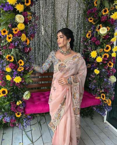 Light peach Cut Border Organza Saree 