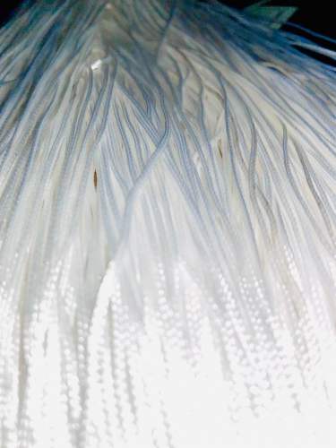 braided thread polyster