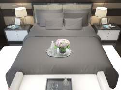 Sateen Home DÃ©cor Bed Sheet & Pillow 