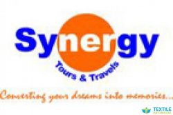 Synergy Tours And Travels logo icon