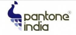 Pantone India logo icon