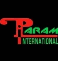 Param International logo icon