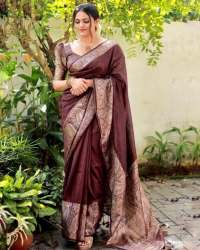 Beautiful Coffee Colour Kanjivaram Silk Saree With Blouse