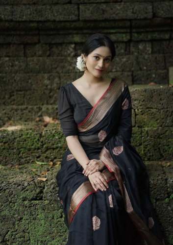Black color with Gold border Banarasi Soft Silk Saree