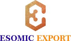 Esomic Export logo icon