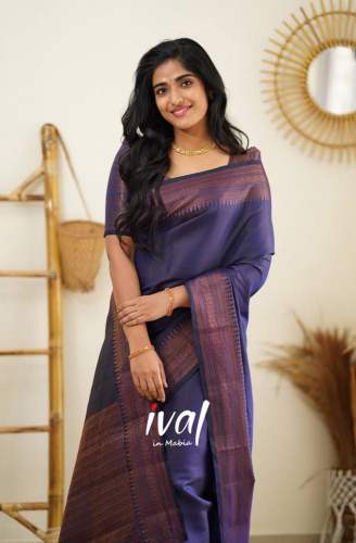 Pretty Blue Banarasi Pure Silk Kanjivaram Saree With Blouse