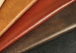 Grain Finished Leather Sheet 