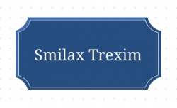 Smilax Trexim Private Limited logo icon