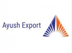 Ayush Export logo icon