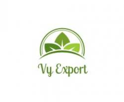Vy Export logo icon