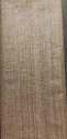 Plain Tussar Ghicha Silk Fabric 