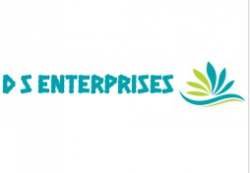 D S Enterprises logo icon