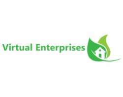 Virtual Enterprises logo icon