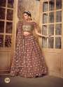 soft-net-thread-mirror-work-lehenga-choli