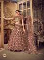 Soft Net Thread & Mirror work Lehenga choli thumb 1
