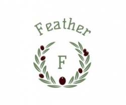 Feather logo icon