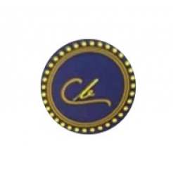 Benison logo icon