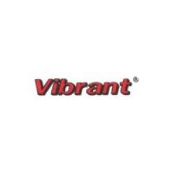 Vibrant Coatings Private Limited logo icon
