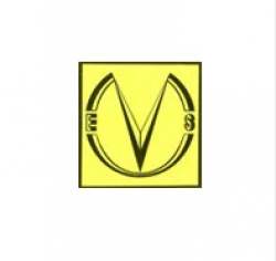 Vishesh Electro Systems logo icon