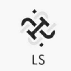L Sons logo icon