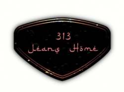 313 Jeans Home logo icon
