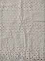 Cotton Schiffli Embroidery Fabric thumb 4