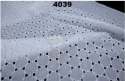 eyelet-schiffli-embroidered-fabric